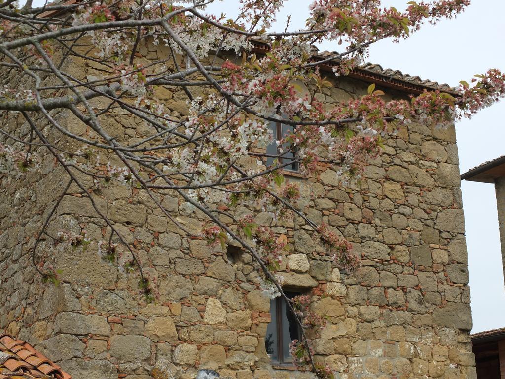 Agriturismo Riposati Vendégház Monticchiello Kültér fotó